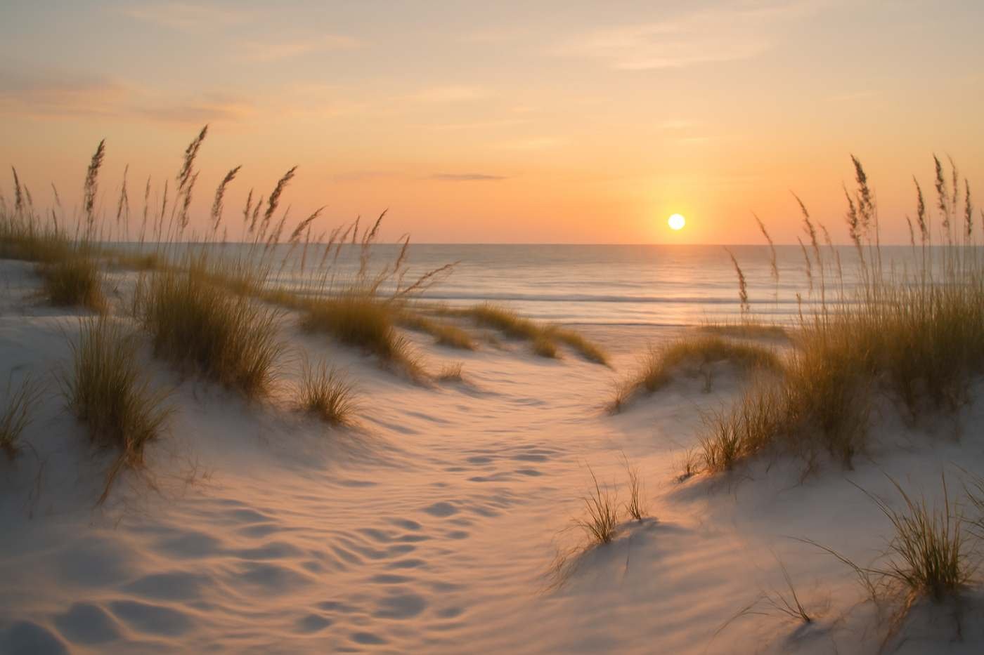 Coastal dunes at sunset near Orlando, FL