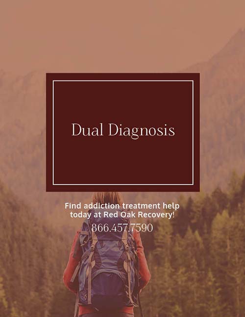 cost of dual diagnosis treatment