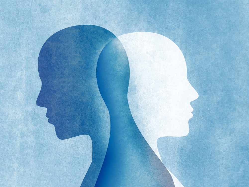 Dual recovery programs