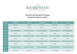 medical drug detox