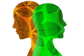 co-occurring mental health and substance use disorders